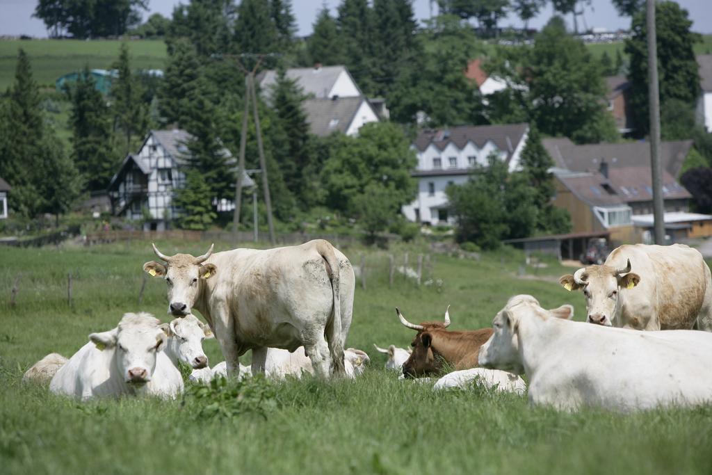 Schultenhof Balve Exterior foto